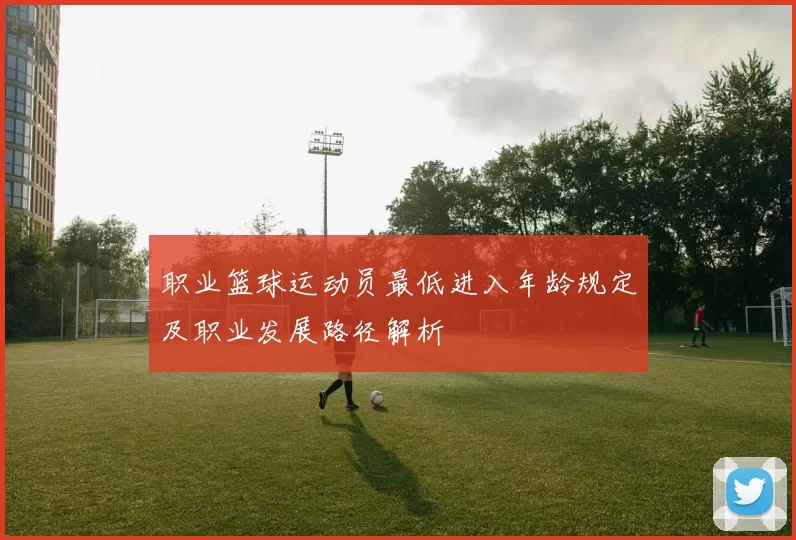 职业篮球运动员最低进入年龄规定及职业发展路径解析