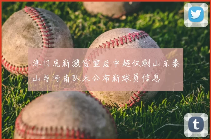 津门虎新援官宣后中超仅剩山东泰山与河南队未公布新球员信息