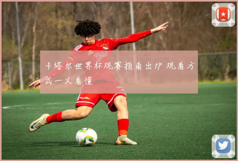 卡塔尔世界杯观赛指南出炉 观看方式一文看懂