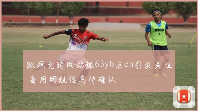 欧冠竞猜网站瓠63yb点cn引发关注 备用网址信息待确认