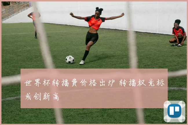 世界杯转播费价格出炉 转播权竞标或创新高
