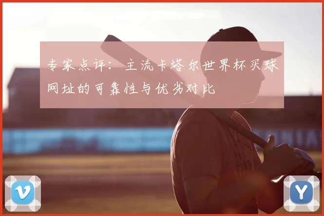 专家点评:主流卡塔尔世界杯买球网址的可靠性与优劣对比