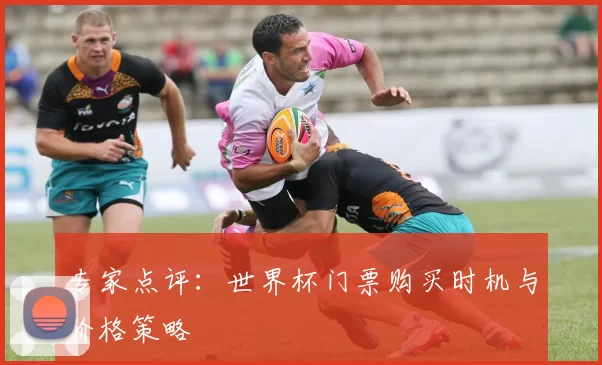 专家点评:世界杯门票购买时机与价格策略