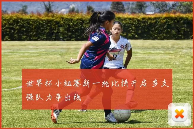 世界杯小组赛新一轮比拼开启 多支强队力争出线