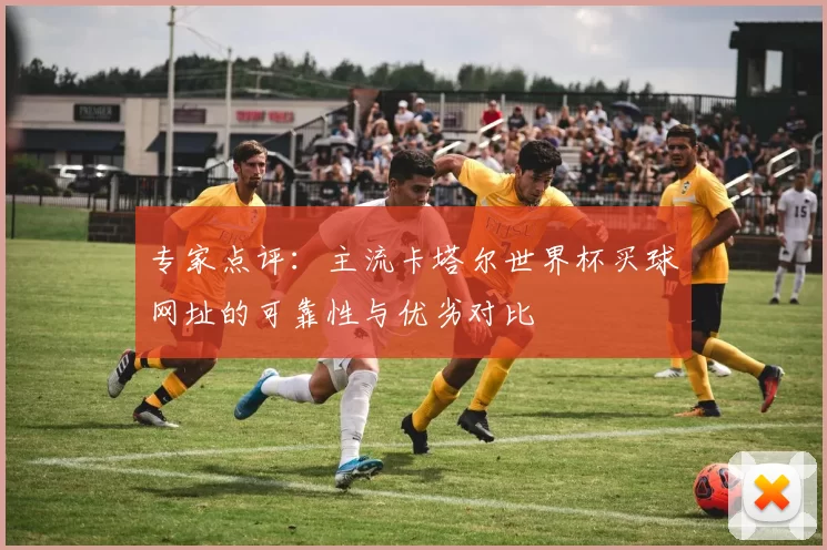 专家点评:主流卡塔尔世界杯买球网址的可靠性与优劣对比