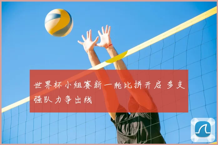 世界杯小组赛新一轮比拼开启 多支强队力争出线